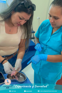 FOTOS VERTICAL – CEP (2)